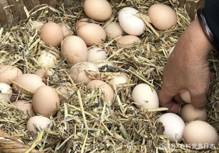 用什么方法能让“蛋鸡不停止的生蛋”？听完养殖户的讲解懂了北单足球官网app(图1)