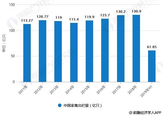 北单足球官网app2019年中国家禽饲养行业市场现状及发展趋势分析 规模化、产业化将是未来趋势(图1)