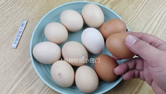 买鸡蛋时白北单足球官网app壳鸡蛋和红壳哪个好？养殖户说漏嘴：看完别乱买(图1)