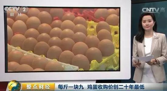 鸡蛋收购价每斤19元创二十北单足球官网首页年最低养殖户贱卖母鸡(图1)