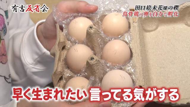 北单足球官网app日本女主播将两公鸡当儿子养一天换3次尿片还亲自“孵蛋”(图2)