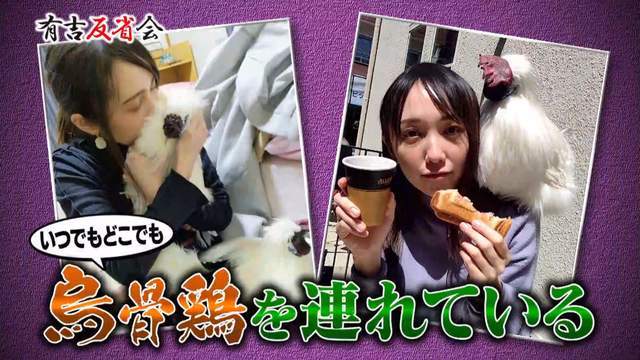 北单足球官网app日本女主播将两公鸡当儿子养一天换3次尿片还亲自“孵蛋”(图5)