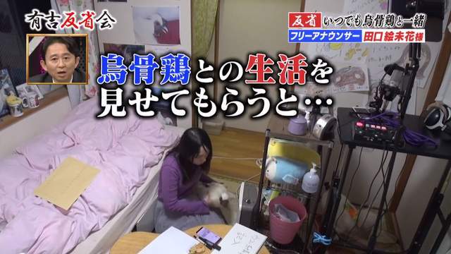 北单足球官网app日本女主播将两公鸡当儿子养一天换3次尿片还亲自“孵蛋”(图10)