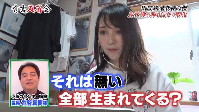 北单足球官网app日本女主播将两公鸡当儿子养一天换3次尿片还亲自“孵蛋”(图22)