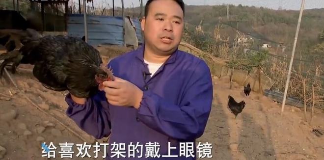宜昌农村小伙返乡养黑鸡一年卖2000万元带领村民走上致富路北单足球官网app(图18)